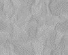 IMG015.IFF.gst.iff