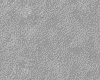 IMG010.IFF.gst.iff
