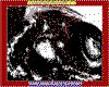 IMG022.GIF.cst.iff