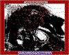 IMG019.GIF.cst.iff