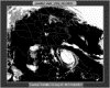 IMG018.GIF.gst.iff