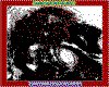 IMG018.GIF.cst.iff