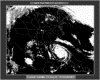 IMG017.GIF.gst.iff