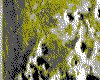 IMG016.GIF.cst.iff
