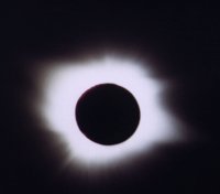 IMG012.GIF