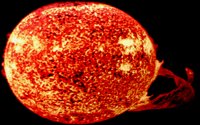 IMG010.GIF