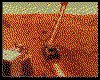 IMG039.GIF.cst.iff