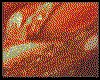 IMG038.GIF.cst.iff