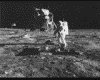 IMG033.GIF.gst.iff