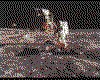 IMG033.GIF.cst.iff