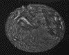 IMG031.GIF.gst.iff