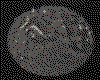 IMG031.GIF.cst.iff