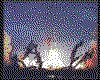 IMG027.GIF.cst.iff