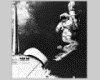 IMG026.GIF.gst.iff