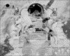 IMG023.GIF.gst.iff