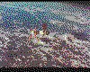 IMG020.GIF.cst.iff