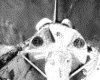 IMG018.GIF.gst.iff