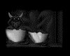 IMG117.IFF.gst.iff