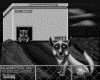 IMG116.IFF.gst.iff