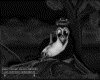 IMG114.IFF.gst.iff