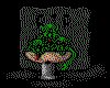IMG045.IFF.cst.iff