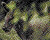 IMG100.GIF.cst.iff