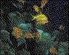IMG094.GIF.cst.iff