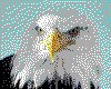IMG091.GIF.cst.iff