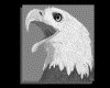 IMG090.GIF.gst.iff