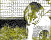 IMG089.GIF.cst.iff