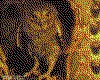IMG087.GIF.cst.iff