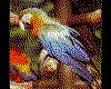 IMG086.GIF.cst.iff