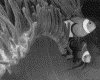 IMG085.GIF.gst.iff