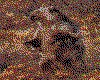 IMG084.GIF.cst.iff