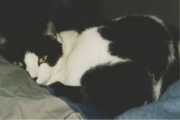 IMG082.GIF