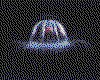 IMG081.GIF.cst.iff