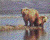 IMG079.GIF.cst.iff