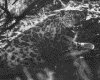 IMG077.GIF.gst.iff