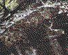 IMG077.GIF.cst.iff