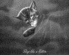 IMG076.GIF.gst.iff