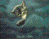 IMG076.GIF.cst.iff
