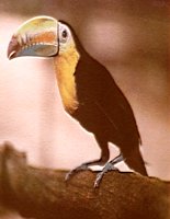 IMG074.GIF