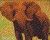 IMG072.GIF.cst.iff