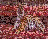 IMG062.GIF.cst.iff