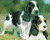 IMG059.GIF.cst.iff