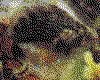 IMG058.GIF.cst.iff