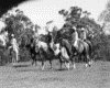 IMG055.GIF.gst.iff
