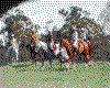 IMG055.GIF.cst.iff
