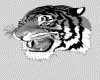 IMG054.GIF.gst.iff