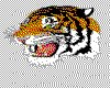 IMG054.GIF.cst.iff